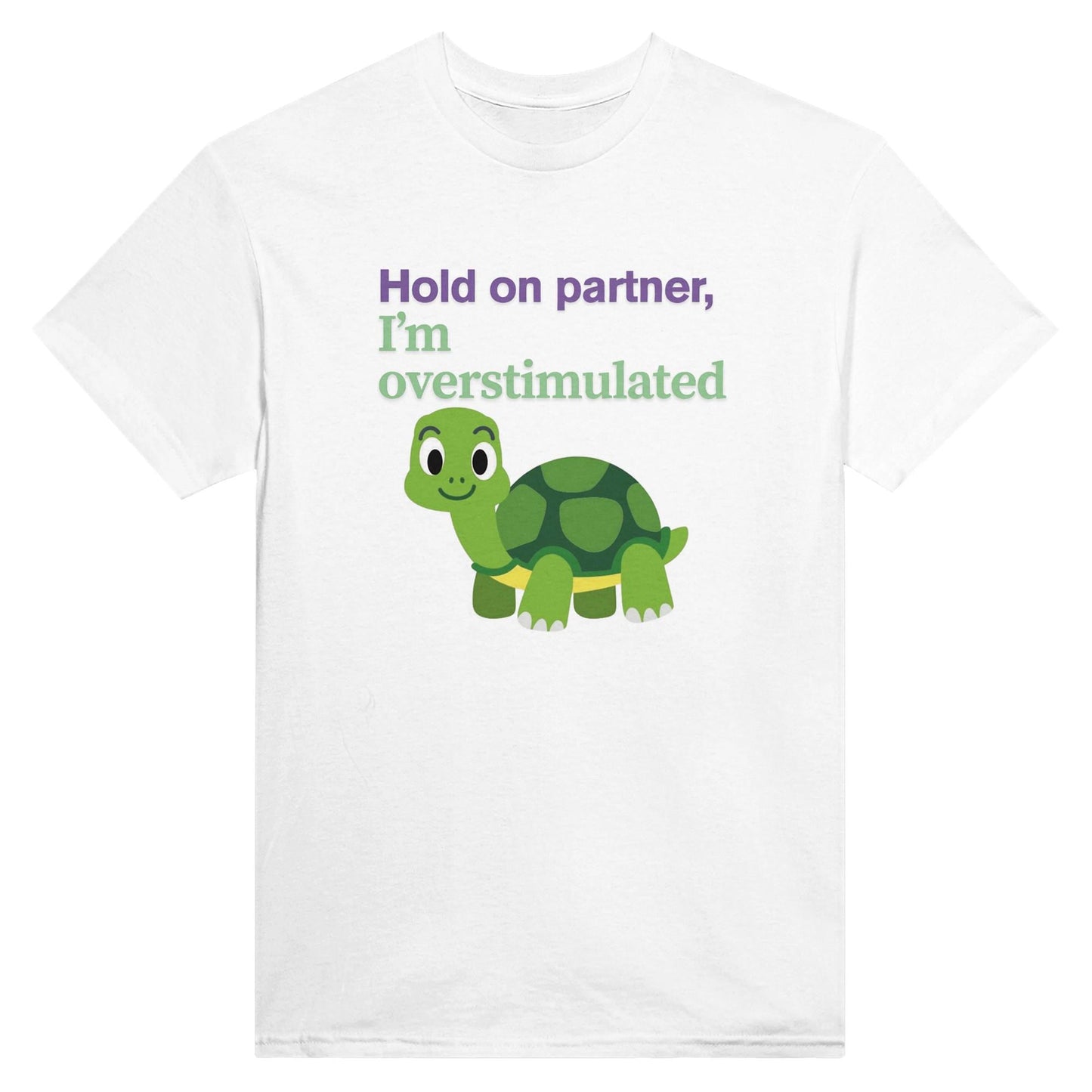 Cute turtle - tee shirt