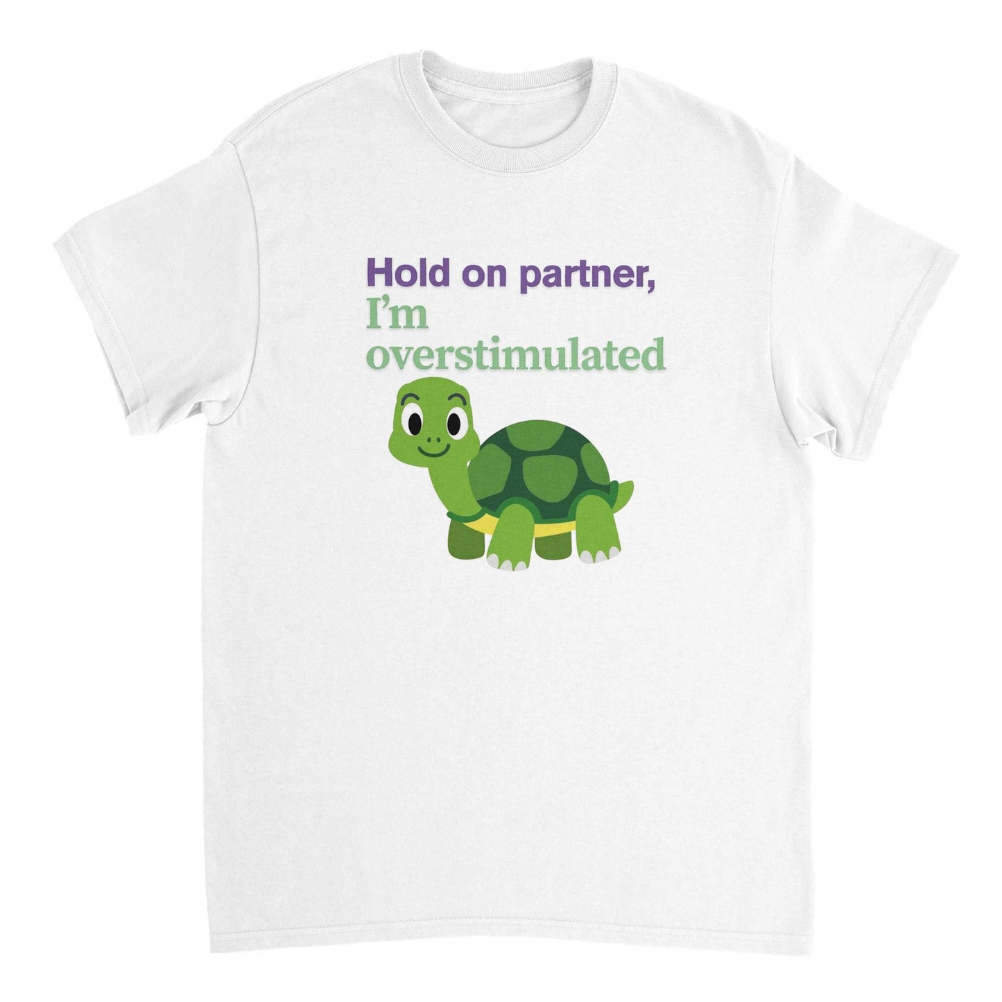 Cute turtle - tee shirt