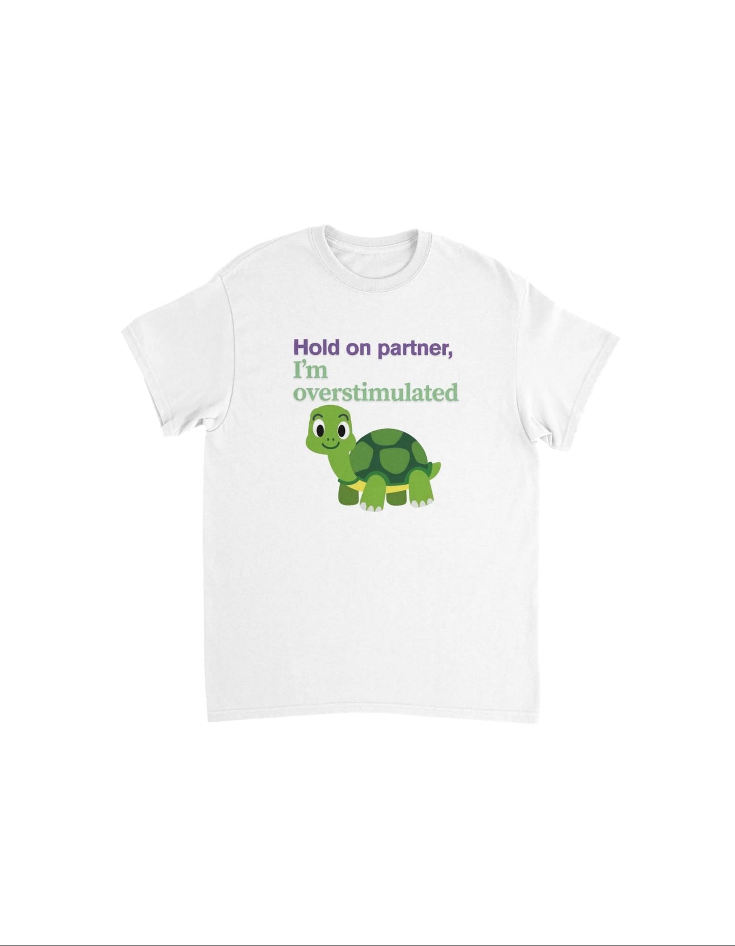 Cute turtle - tee shirt