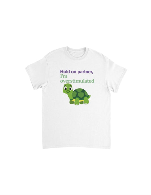 Cute turtle - tee shirt